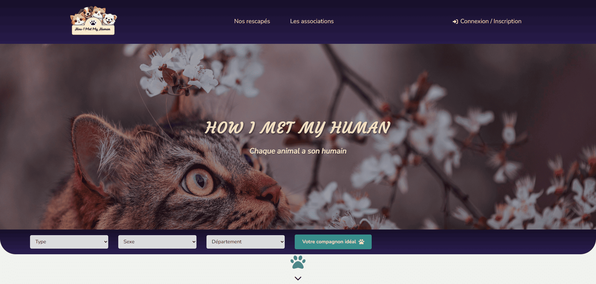 Bannière du site How I Met My Human