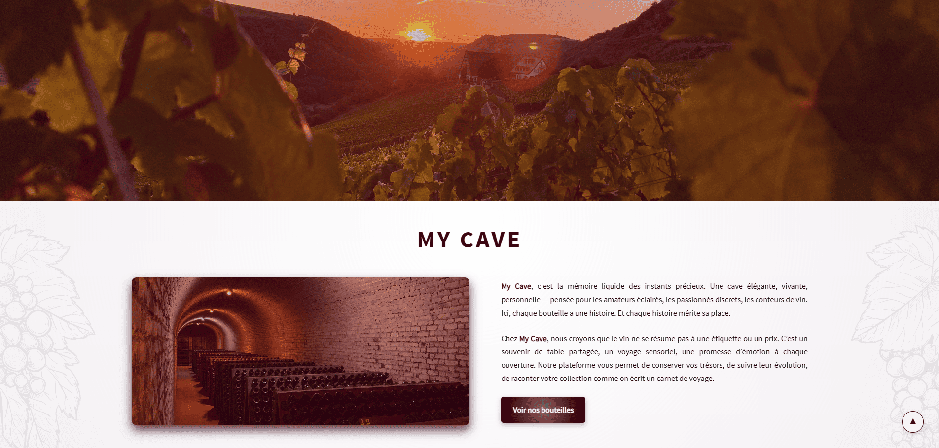 Bannière du site My Cave